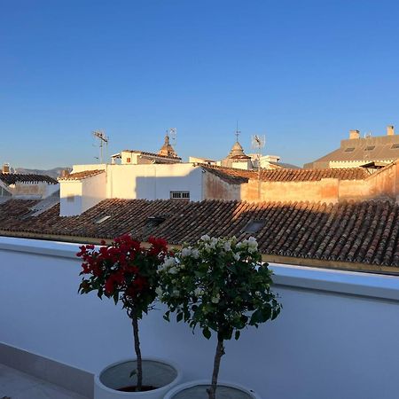 Atarazanas Suite, Atico Con Terraza Μάλαγα Εξωτερικό φωτογραφία
